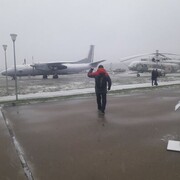 ���������� �����, ���� ������� ������, 36 ���, ������������ ��� ������, ����� � ���������