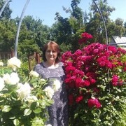 ���������� �������, ���� ������� �����, 63 ����, ������������ ��� c�������� ���������