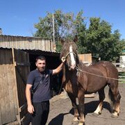 ���������� ����������, ���� ������� �����, 34 ����, ������������ ��� ������, ����� � ���������