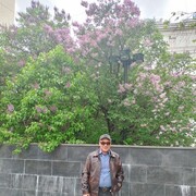  ,   Alim, 50 ,   ,   
