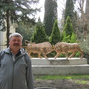  ,   , 65 ,   