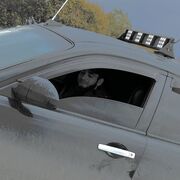 ���������� �����������, ���� ������� � � �, 33 ����, ������������ ��� ������, ����� � ���������