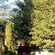 ���������� �����������, ���� ������� ������ Hark, 43 ����, ������������ ��� ������, ���������