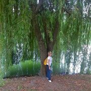  -,   , 53 ,     , c , 