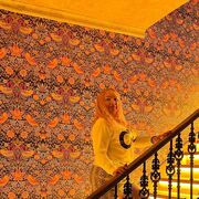 ���������� ������, ���� ������� ��������, 47 ���, ������������ ��� ����� � ���������, c�������� ���������, ���������