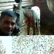  ,   , 48 ,   ,   , c , 