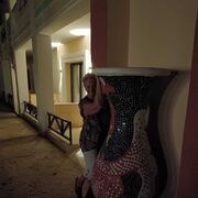 ���������� ������, ���� ������� �������, 68 ���, ������������ ��� ������, ����� � ���������