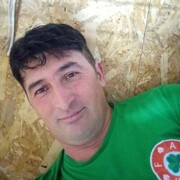 ���������� �����������, ���� ������� ����, 43 ����, ������������ ��� ������, ����� � ���������