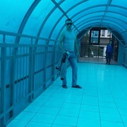 ���������� �����, ���� ������� �������, 36 ���, ������������ ��� ������, ����� � ���������, c�������� ���������