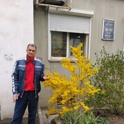 ���������� �����������, ���� ������� �����, 53 ����, ������������ ��� c�������� ���������