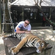 ���������� ���, ���� ������� ������, 36 ���, ������������ ��� ������, ����� � ���������