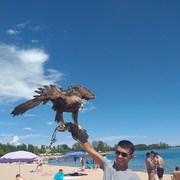 ���������� ������, ���� ������� ������, 37 ���, ������������ 