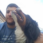  ,   Petro, 31 ,   ,   , c 