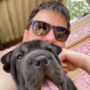 ���������� ��������, ���� ������� �������, 35 ���, ������������ ��� ������, ����� � ���������, c�������� ���������