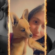  ,   , 24 ,   