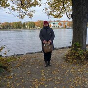 ���������� �����������, ���� ������� �����, 66 ���, ������������ ��� ������, ����� � ���������