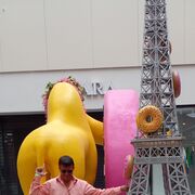  ,   , 42 ,   ,   