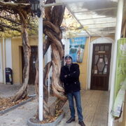 ���������� �����������, ���� ������� ���������, 42 ����, ������������ 