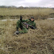  --,   Kolek, 37 ,   ,   , c , 