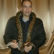   ,   , 40 ,  