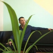 ���������� ���������, ���� ������� �������, 41 ���, ������������ ��� ������, ����� � ���������