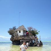 ���������� ������, ���� ������� ���������, 41 ���, ������������ ��� ������, ���������