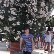  ,   , 56 ,   ,   , c 