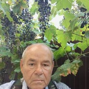  ,   Petr, 72 ,   ,   