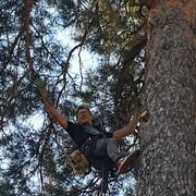 ���������� �����, ���� ������� ������, 36 ���, ������������ ��� ������, ����� � ���������, ���������