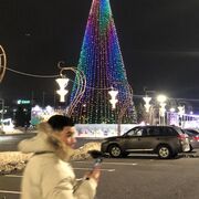 ���������� ����, ���� ����� ������, 22 ����, ������������ ��� ������, ����� � ���������