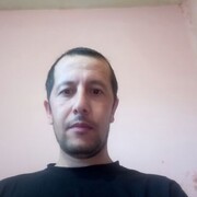 -,   , 43 ,     