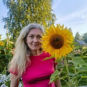 ���������� �����������, ���� ������� �����, 50 ���, ������������ ��� c�������� ���������