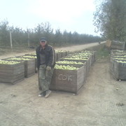  ,   , 50 ,   ,   , c 
