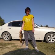 ���������� �����������, ���� ������� �������, 54 ����, ������������ ��� c�������� ���������