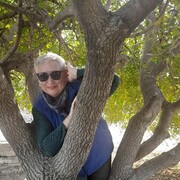  ,   , 67 ,  