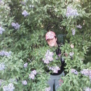 ���������� ��������������, ���� ������� �������, 31 ���, ������������ ��� ������, ����� � ���������, c�������� ���������