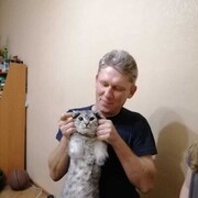 ���������� �����, ���� ������� �������, 50 ���, ������������ ��� c�������� ���������