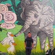 ���������� ����������, ���� ������� Petya, 26 ���, ������������ ��� ������, ����� � ���������