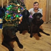 ���������� �������, ���� ������� ������, 34 ����, ������������ ��� ������, ����� � ���������, c�������� ���������