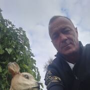 ���������� ����������, ���� ������� �����, 47 ���, ������������ ��� ������, ����� � ���������, c�������� ���������