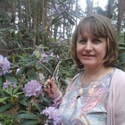 ������������ ���