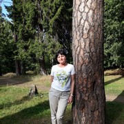 ���������� �����-���������, ���� ������� �����, 55 ���, ������������ ��� ������, ����� � ���������, c�������� ���������