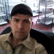  ,   Avaz, 41 ,   ,   