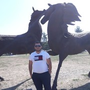  ,   , 37 ,   , 