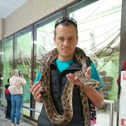 ���������� ������, ���� ������� �����, 38 ���, ������������ ��� ������, ����� � ���������, c�������� ���������