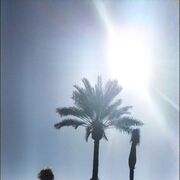 ���������� ������, ���� ������� ��������, 61 ���, ������������ ��� ������, ����� � ���������, c�������� ���������