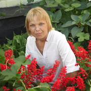  ,   , 48 ,  