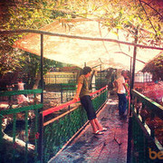 ���������� ������������, ���� ������� ������, 31 ���, ������������ ��� ������, ����� � ���������, c�������� ���������, ���������