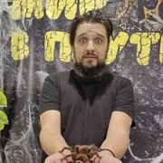 ���������� �����-���������, ���� ������� �����, 36 ���, ������������ ��� ������, ����� � ���������