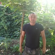  -,   , 41 ,   ,   , c 